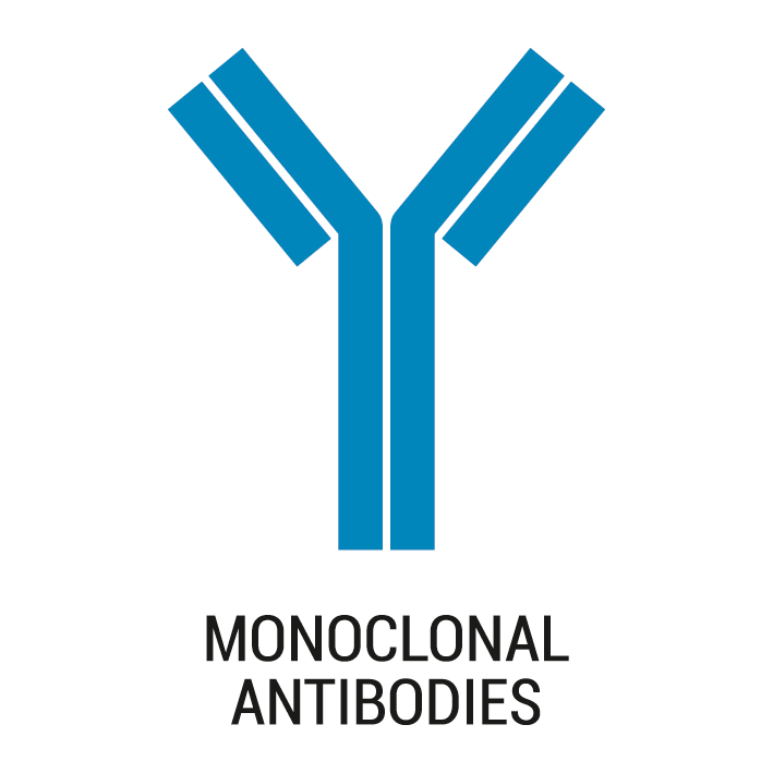 Monoclonal antibody production