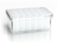G-Rex culture plates with basal gas exchange membrane (Europe)