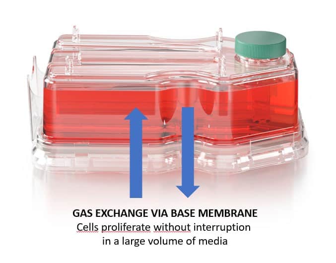EZ-gas exchange