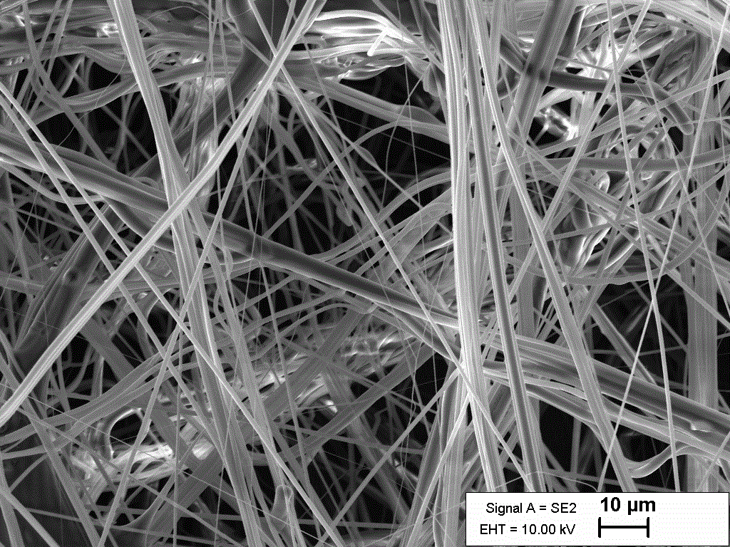 PLGA nanofibrous scaffold, halospun, for 3D culture and tissue engineering