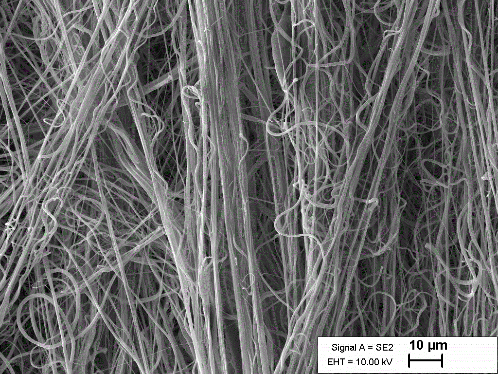 PLGA:PCL nanofibrous scaffold, halospun, for 3D culture and tissue engineering
