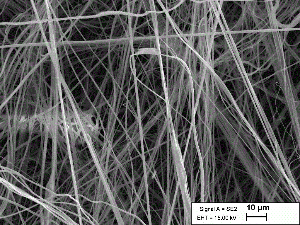 PLLA nanofibrous scaffold, halospun, for 3D culture and tissue engineering