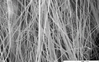 PLLA Aligned nanofibrous scaffold, halospun, for 3D culture and tissue engineering