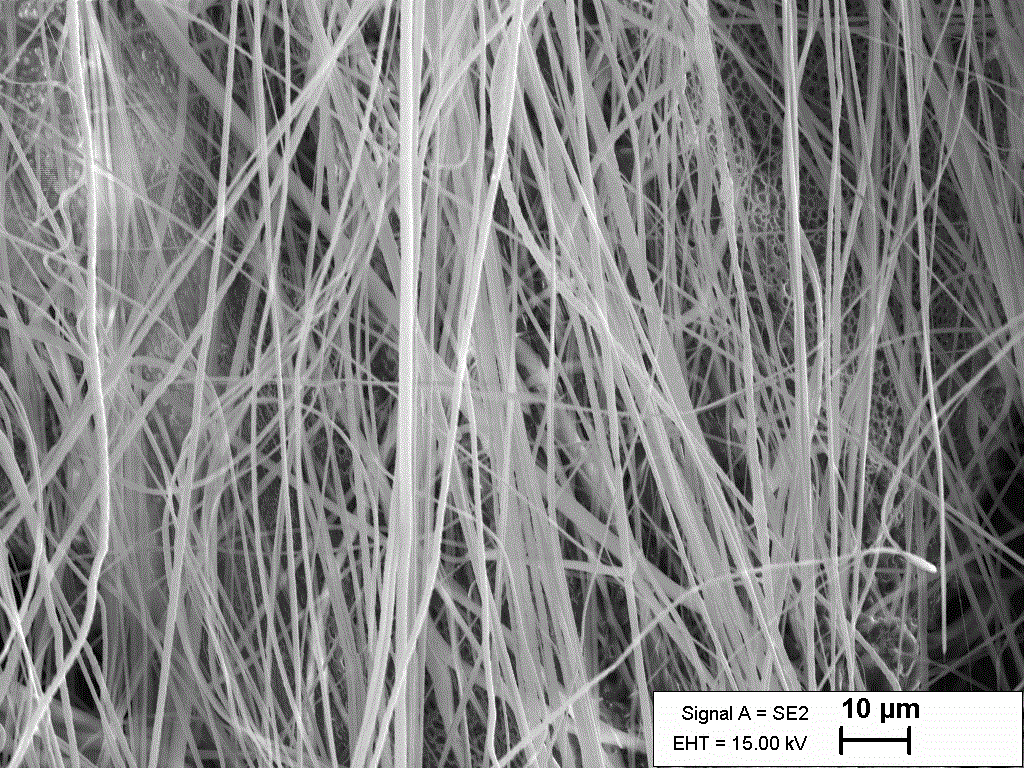 PLLA Aligned nanofibrous scaffold, halospun, for 3D culture and tissue engineering