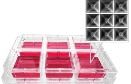 Sphericalplate 5D 6-Well