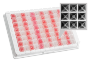 Tumoroid Plate Sphericalplate 5D for tumoroid testing