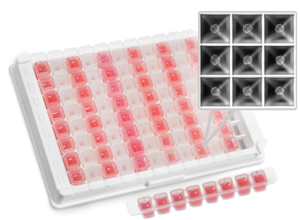 Tumoroid plate w strip