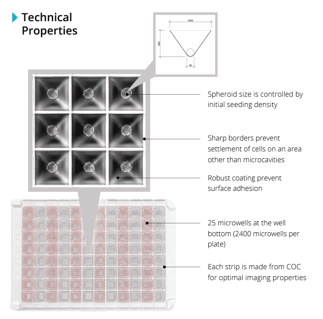tumoroid plate technical