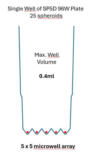 Cross section of SP5D well