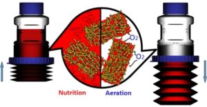 tide-motion-nutrition-aeration